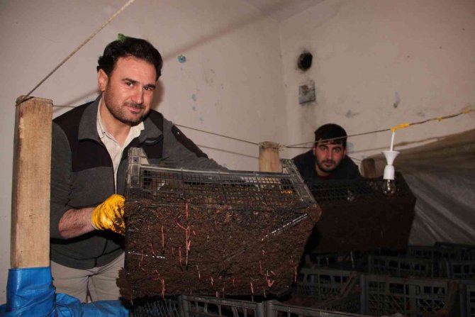 Dedesine Ait İki Katlı Evde Solucan Gübresi Üretiyor