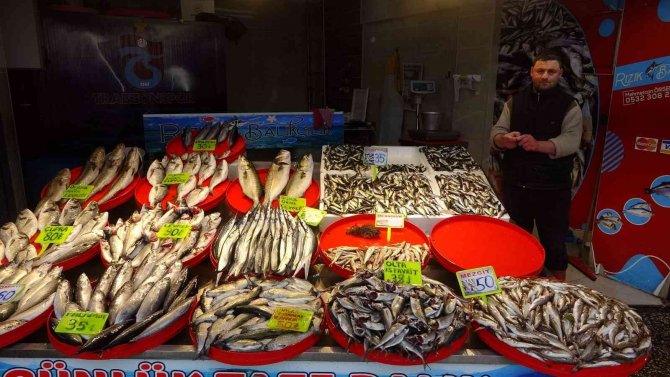 Hamsiden Sonra İstavrit De Artık Tezgahlardan Çekiliyor