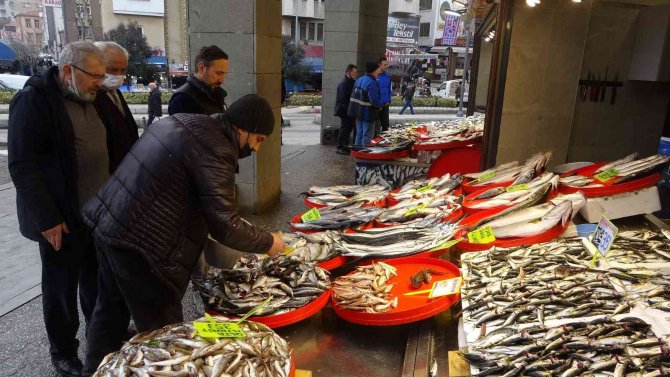 Hamsiden Sonra İstavrit De Artık Tezgahlardan Çekiliyor