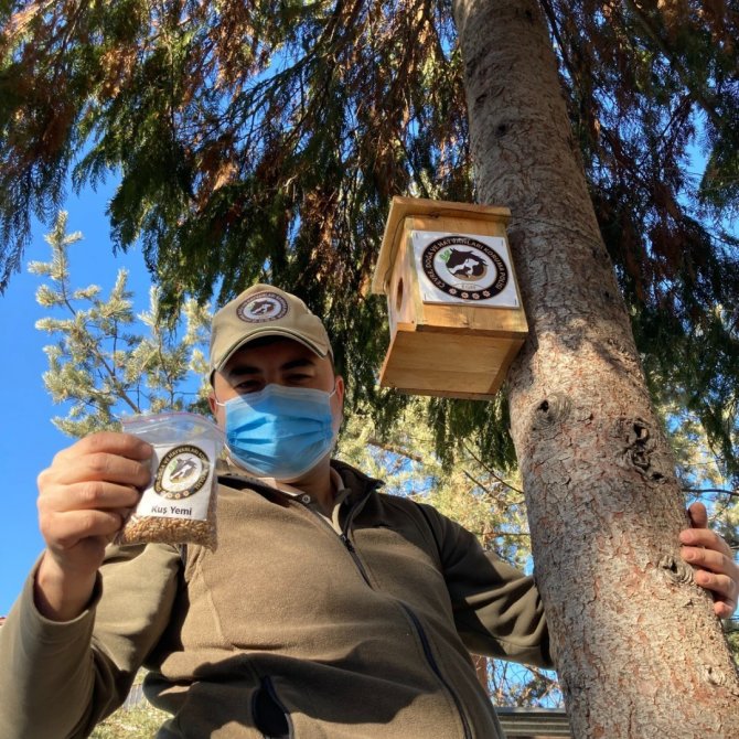 Kastamonu’da Çeşitli Noktalara Kuş Yuvaları Asılarak Yem Bırakıldı