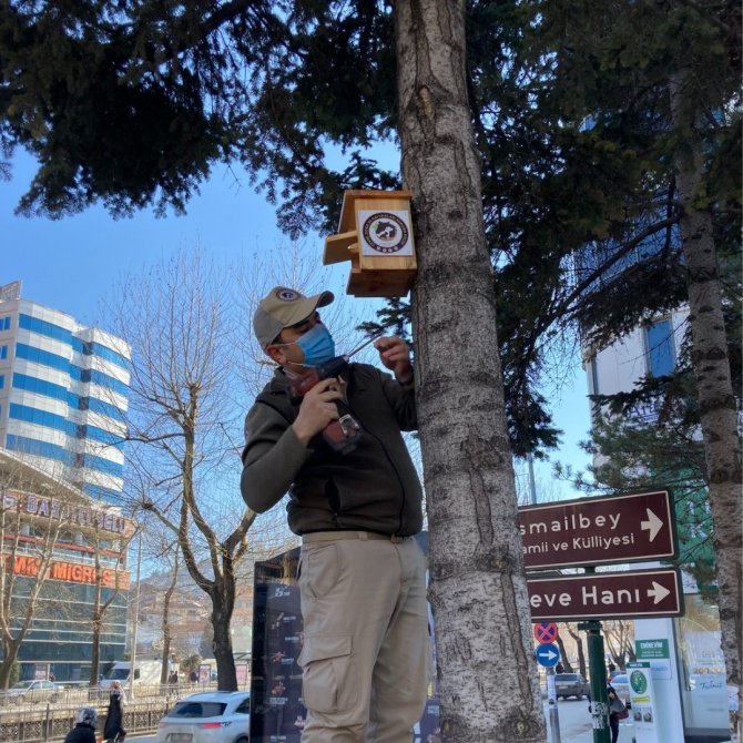 Kastamonu’da Çeşitli Noktalara Kuş Yuvaları Asılarak Yem Bırakıldı