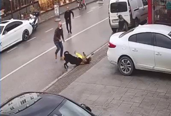 Köpek Üzerine Doğru Koşunca Kucağındaki Çocuğu Düşürdü