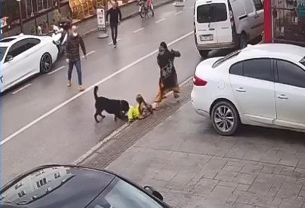 Köpek Üzerine Doğru Koşunca Kucağındaki Çocuğu Düşürdü