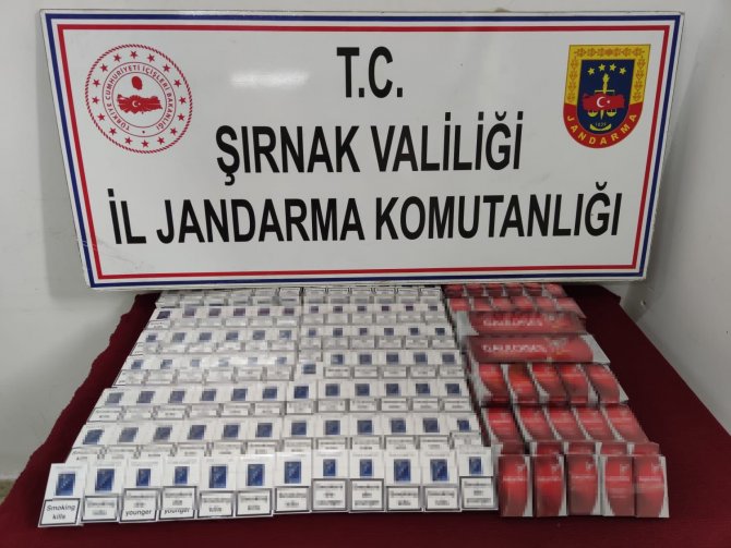 Şırnak’ta Terörün Finans Kaynaklarına Darbe: 73 Gözaltı
