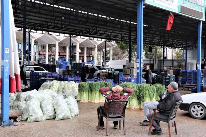 Rusya’nın Ukrayna Operasyonu Antalya Halinde Fiyatları Yüzde 50’ye Yakın Düşürdü
