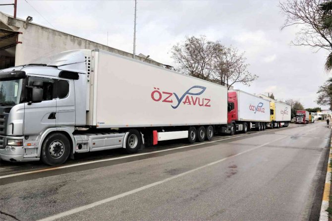 Rusya’nın Ukrayna Operasyonu Antalya Halinde Fiyatları Yüzde 50’ye Yakın Düşürdü