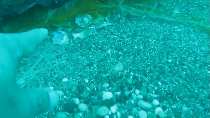 Deniz Canlıları İçin Ölümcül Tuzak Olan ‘Hayalet Ağlar’ Sualtı Hayatını Tehdit Ediyor