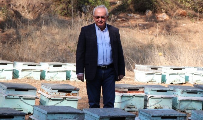 İ̇klim Krizi Arıları Da Vurdu