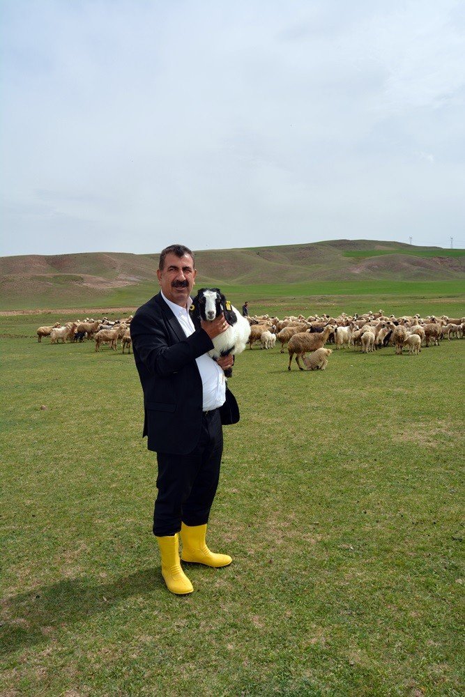 Tüdki̇yeb Genel Başkanı Nihat Çelik, Doğum Sonrası Kuzu Ölümlerinin Önlenmesi İçin Yetiştiricilere Uyarılarda Bulundu