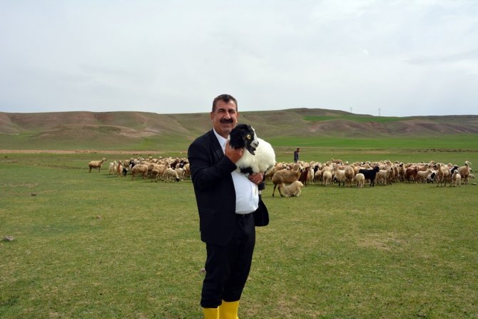 Tüdki̇yeb Genel Başkanı Nihat Çelik, Doğum Sonrası Kuzu Ölümlerinin Önlenmesi İçin Yetiştiricilere Uyarılarda Bulundu