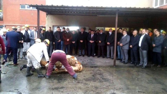 Amasra’da Mekanize Panoda Üretime Başlandı