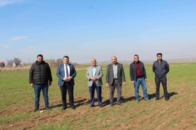 Yağışlar Çiftçiyi Umutlandırdı, Hububat Fiyatlarında Düşüş Bekleniyor