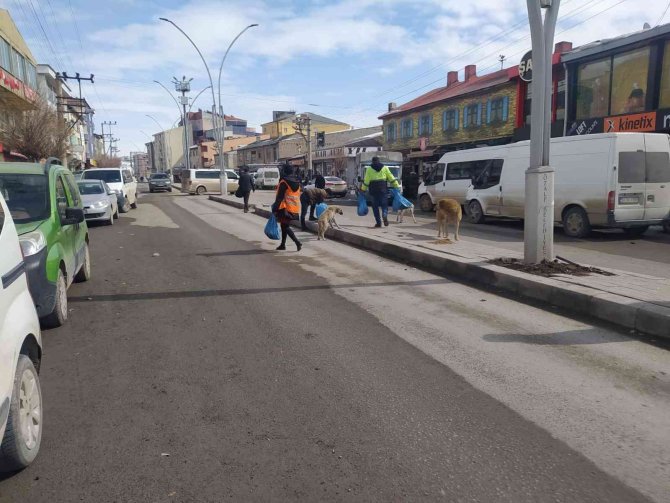 Özalp İlçesinde Sokak Hayvanları İçin Beslenme Etkinliği