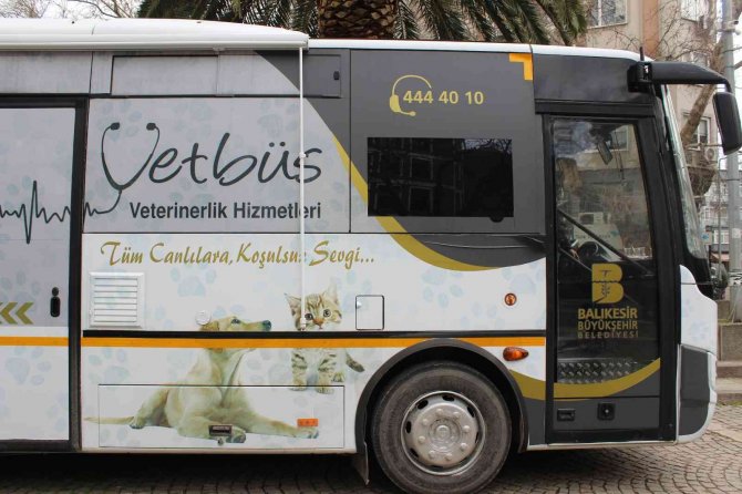 Balıkesir Büyükşehir Belediyesine Ait Vetbüs Erdek’ E Geldi