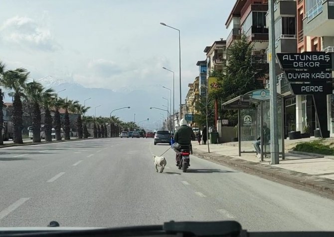 Köpeği Motora Bağlayıp Sürüklerken Gazeteciye Saldıran Sürücüden İlginç Savunma: "Spor Yaptırıyorum"