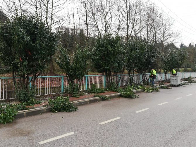 Derince’de Peyzaj Çalışmaları Devam Ediyor