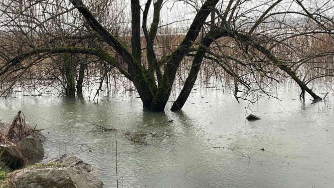 Efteni Gölü’nde Su Seviyesi Yükseldi