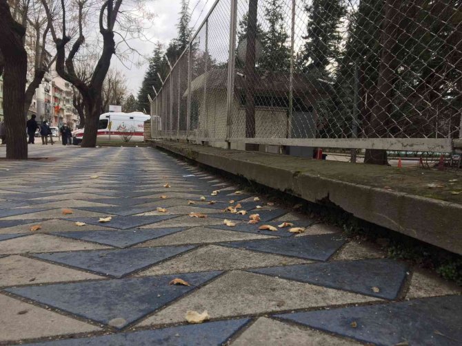 Duyarsızca Atılan Ekmek Kırıntıları Kaldırımlarda Kötü Görüntülere Sebep Oluyor