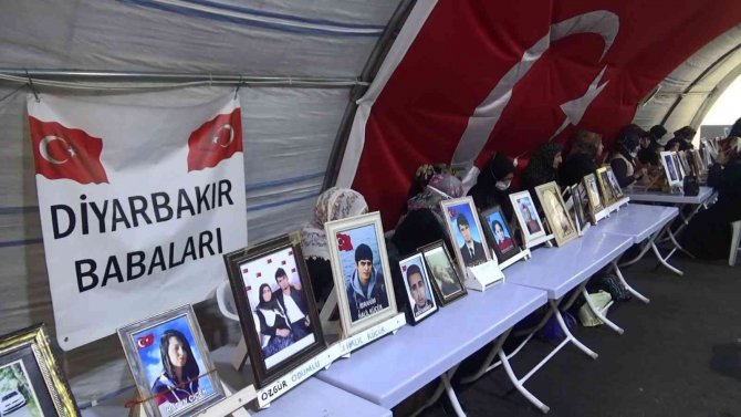 Staj İçin Gittiği Hdp’li Belediyeden Dağa Gönderildi