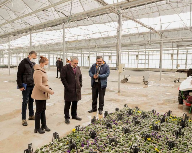 Kütahya Belediyesi Kendi Çiçeğini Üretiyor