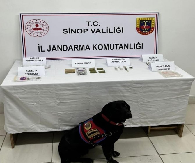 Sinop’ta İki Ayrı Uyuşturucu Operasyonu
