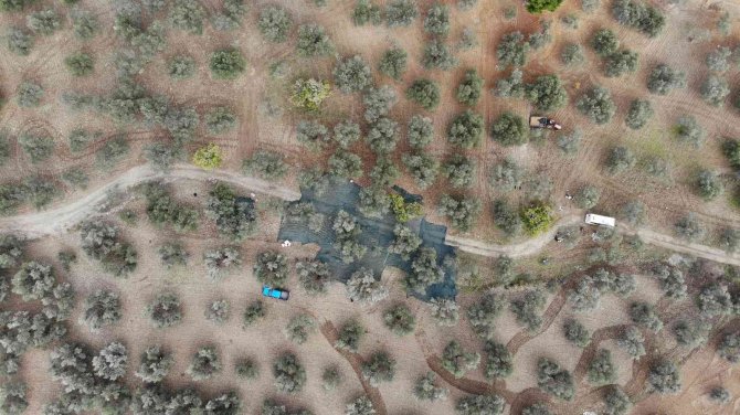 Balıkesir Büyükşehir Belediyesinden “Zeytin Alanlarında Maden Aranmasına İzin Verildiği” İddiasına Açıklama