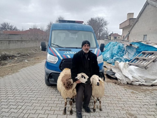 Çalınan Koyunlarını Bulan Jandarmaya Teşekkür Edip Dualarla Uğurladı