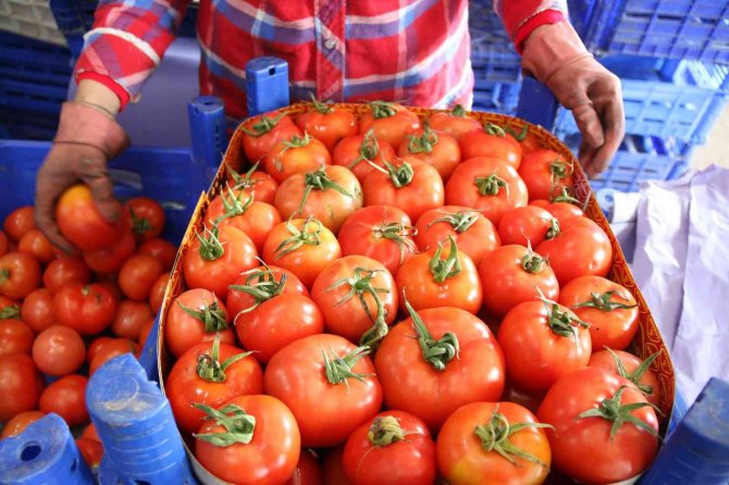 Atb’den Şubat Ayı Sebze Ve Meyve Endeksi Açıklaması