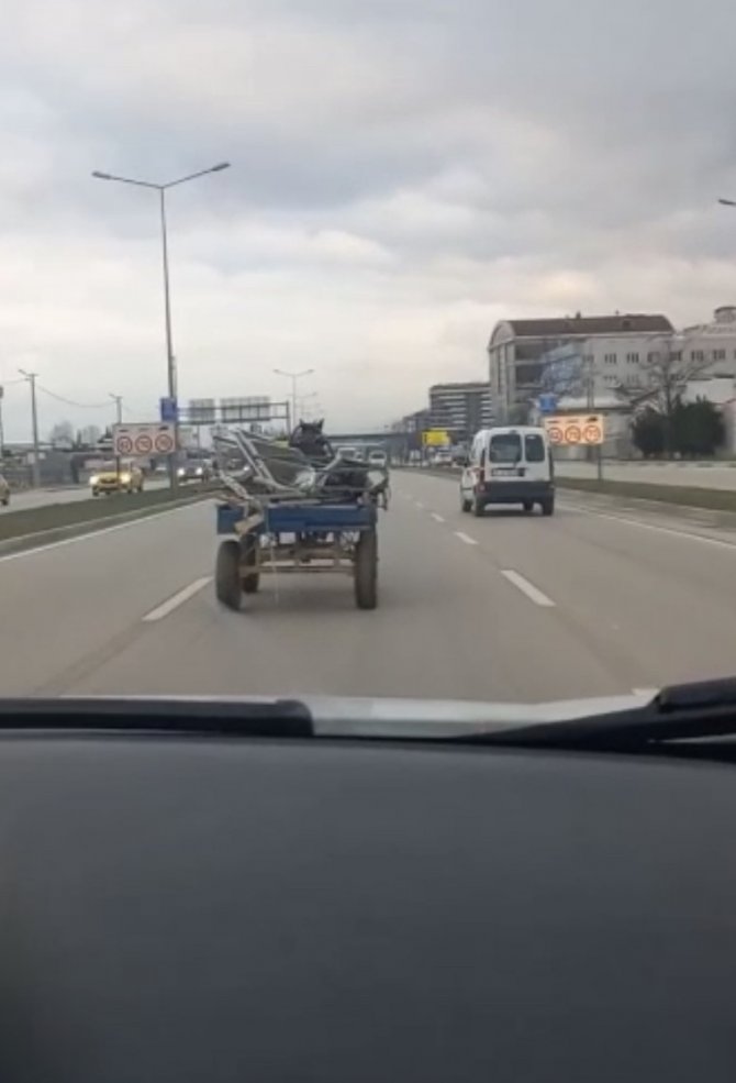 Bursa’da Sürücüsüz At Arabası Trafiği Birbirine Kattı