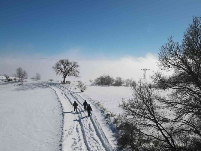 Sis, Güneş Ve Yeşilin Ahenkle Dansı