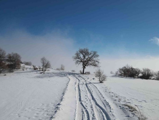 Sis, Güneş Ve Yeşilin Ahenkle Dansı
