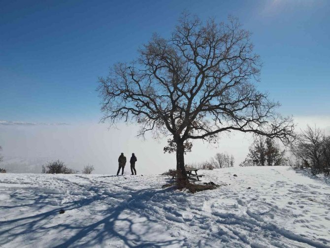 Sis, Güneş Ve Yeşilin Ahenkle Dansı