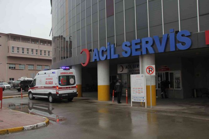 Erzincan’da Okula Giden Çocuğa Köpek Saldırdı