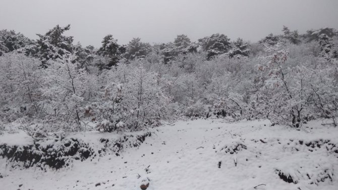 Karaçam’da Uzayan Kış Çiftçiyi Memnun Etti