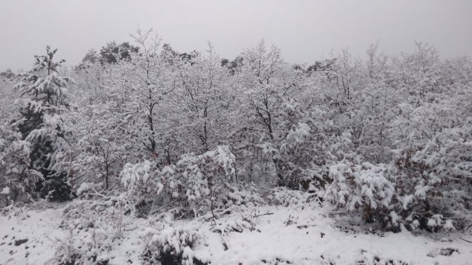 Karaçam’da Uzayan Kış Çiftçiyi Memnun Etti