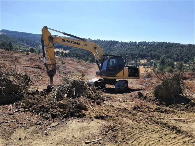 Gediz’de 142 Bin 770 Adet Kızılçam Fidanının Dikimine Başlandı