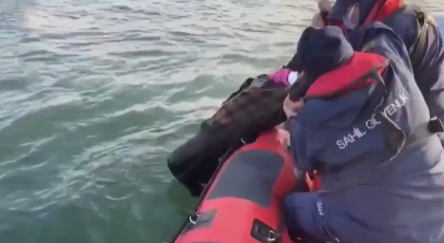 Sahil Güvenlik Denize Düşen Yaşlı Kadını Böyle Kurtardı