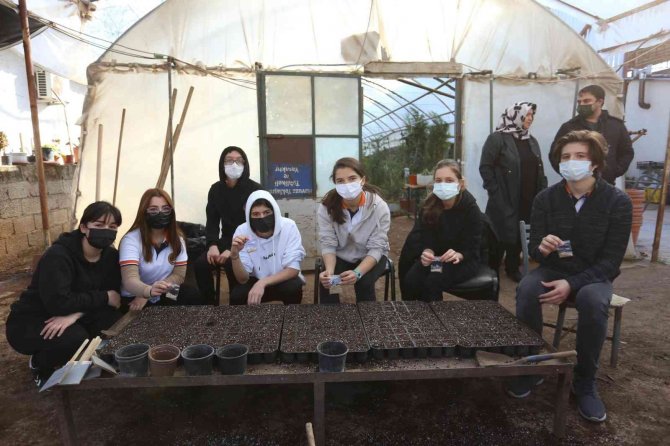 Kepez’de Ata Tohumları Fidana Dönüşüyor