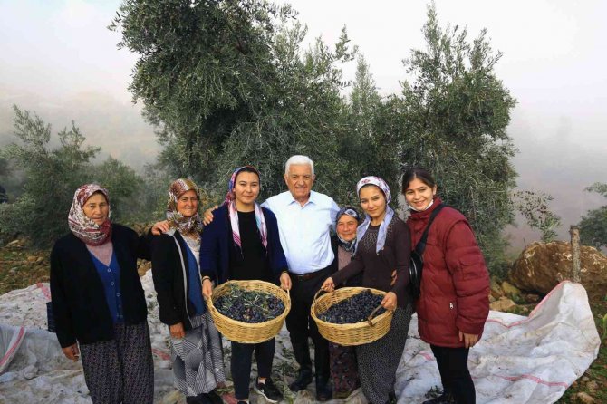 Başkan Gürün: “Zeytinlik Alanlarımızı Koruyacağız”