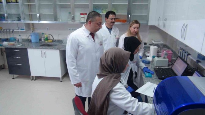 Patatesin Parmak İzi Çıkarılıyor