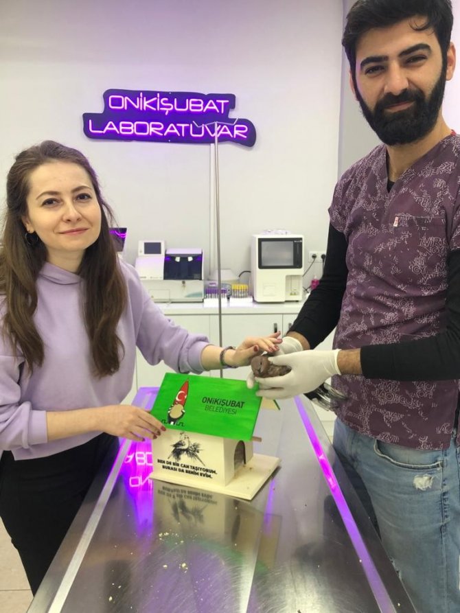 Yaralı Kumruya Belediye Personelleri Sahip Çıktı