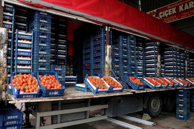Rusya-ukrayna Savaşı Domatesi Vurdu: Kilosu 25 Liradan 4 Liraya Düştü