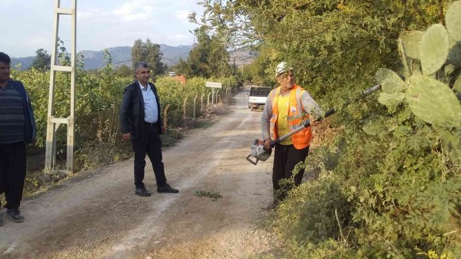 Sürücülere Engel Ağaçlar Budanıyor