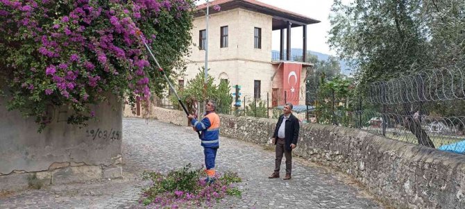 Sürücülere Engel Ağaçlar Budanıyor