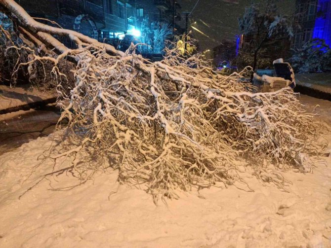 Yoğun Kar Yağışına Dayanamayan Ağaç Dalları Kırılarak Anayolu Kapattı