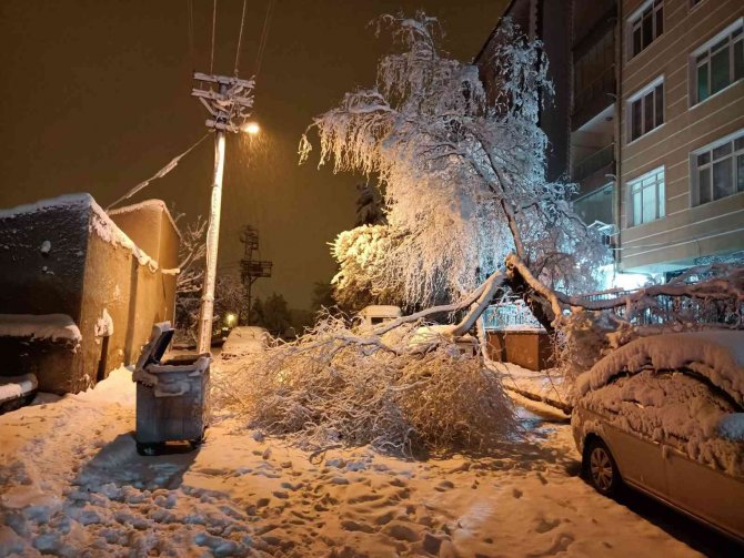 Yoğun Kar Yağışına Dayanamayan Ağaç Dalları Kırılarak Anayolu Kapattı