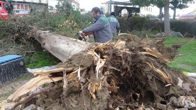 Antalya’da Hortumun Vurduğu Mahallede Dehşet Gün Ağarınca Ortaya Çıktı