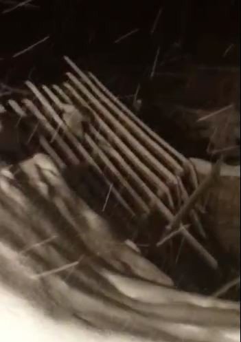 Burdur’da Karın Ağırlığına Dayanamayan Ahırın Çatısı Çöktü