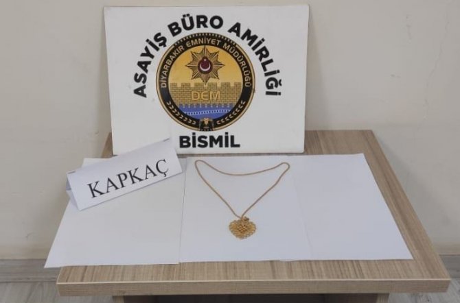 Diyarbakır’da Kadının Boynundaki Altın Kolyeyi Çalan Hırsızlar Yakalandı
