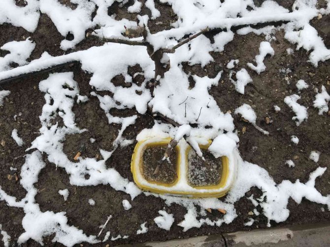 Kar Yağışı Onları Da Çok Etkiledi